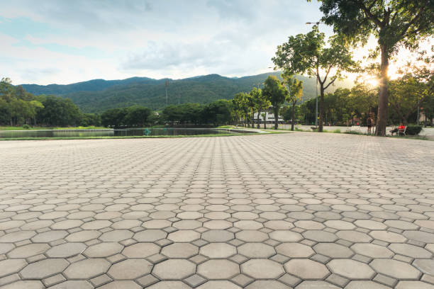 Best Residential Paver Driveway  in Florham Park, NJ